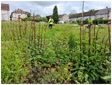 Craven Crescent Green